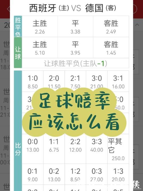 世界杯下注赔率详解：如何解读